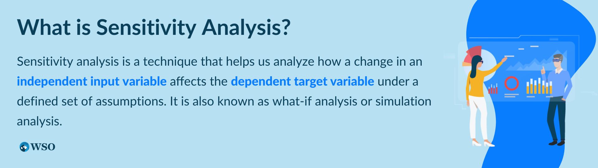 What is Sensitivity Analysis?